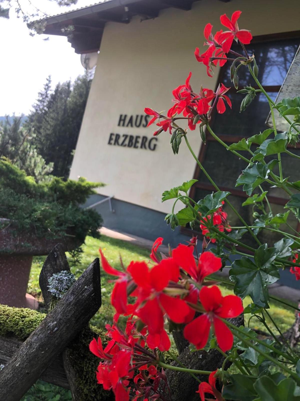 Haus-Erzberg Bed & Breakfast Vordernberg Exterior photo